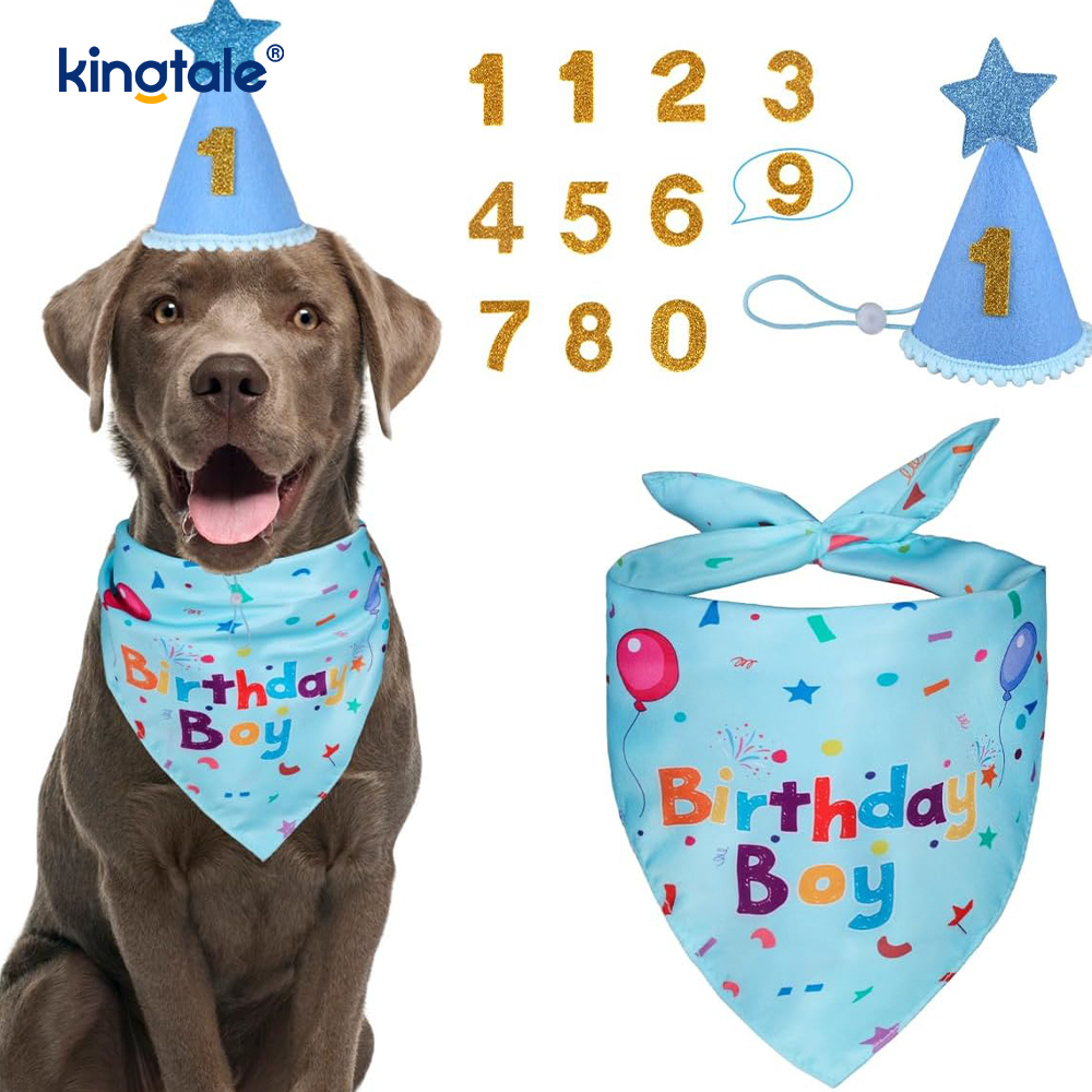 Haustier-Geburtstags-Bandana-Set