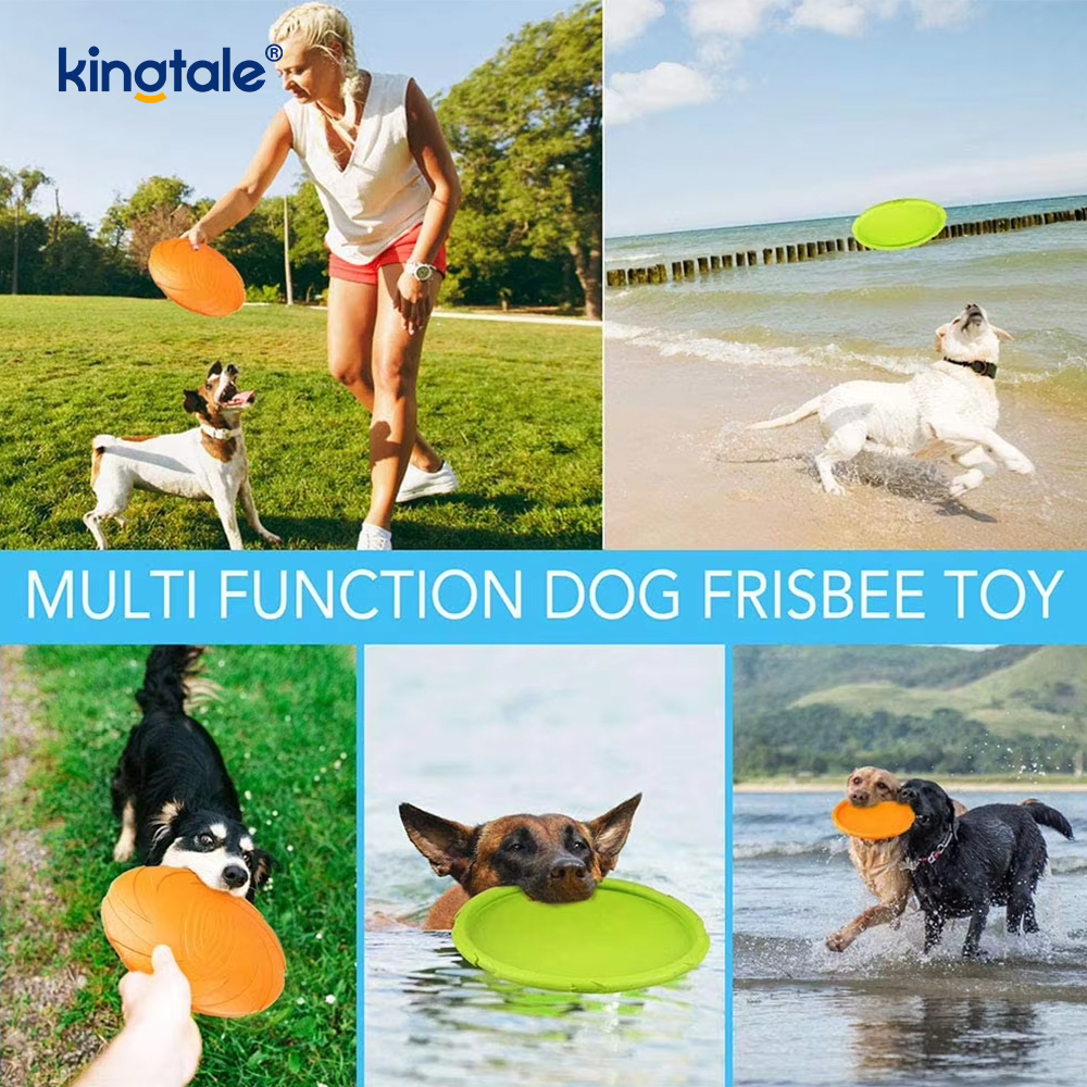 Haustier-Frisbee