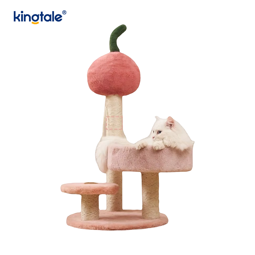 Kratzbaum mit Bett für kleine Kätzchen im Innenbereich