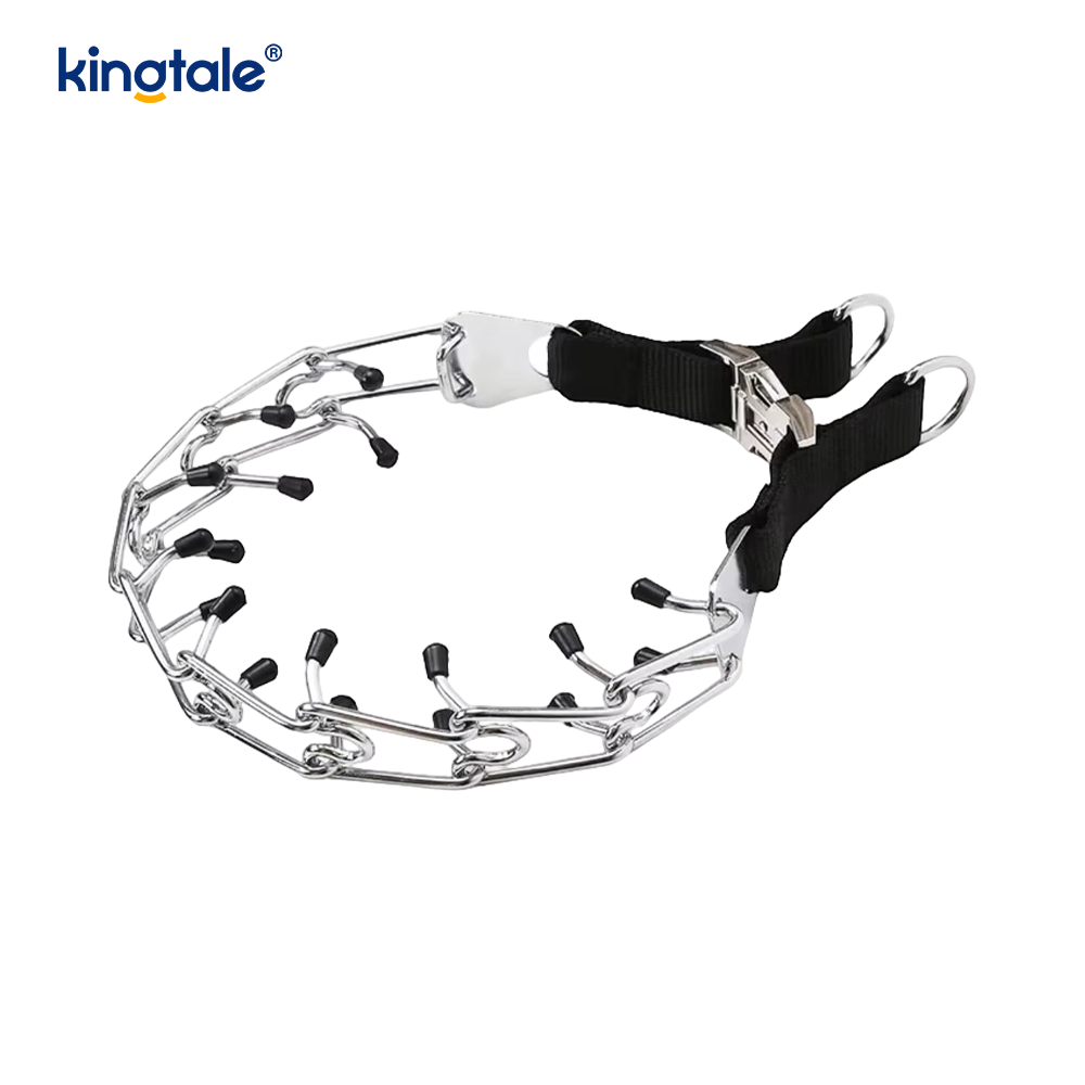 Hundehalsband mit Metallschnalle