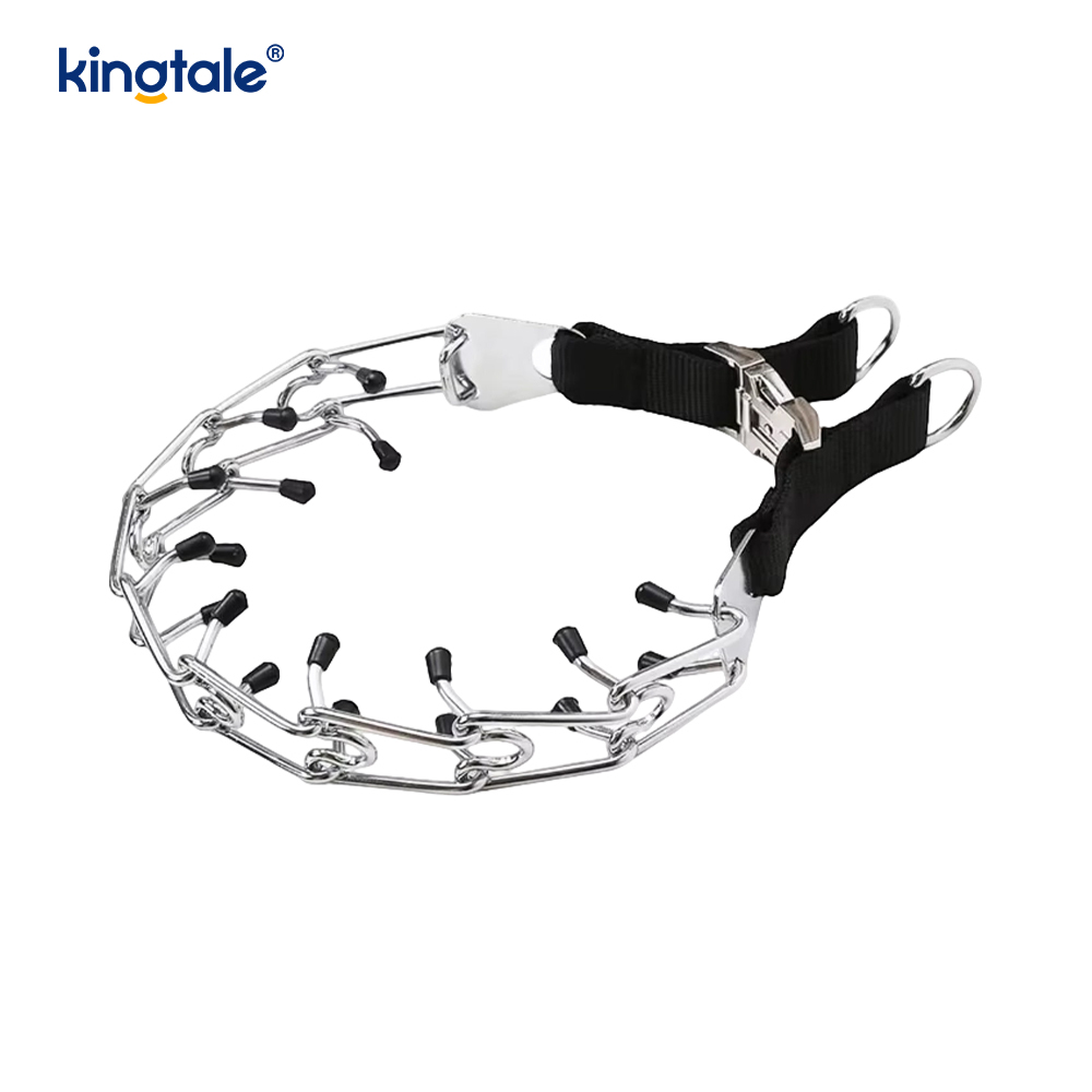 Hundehalsband mit Metallschnalle