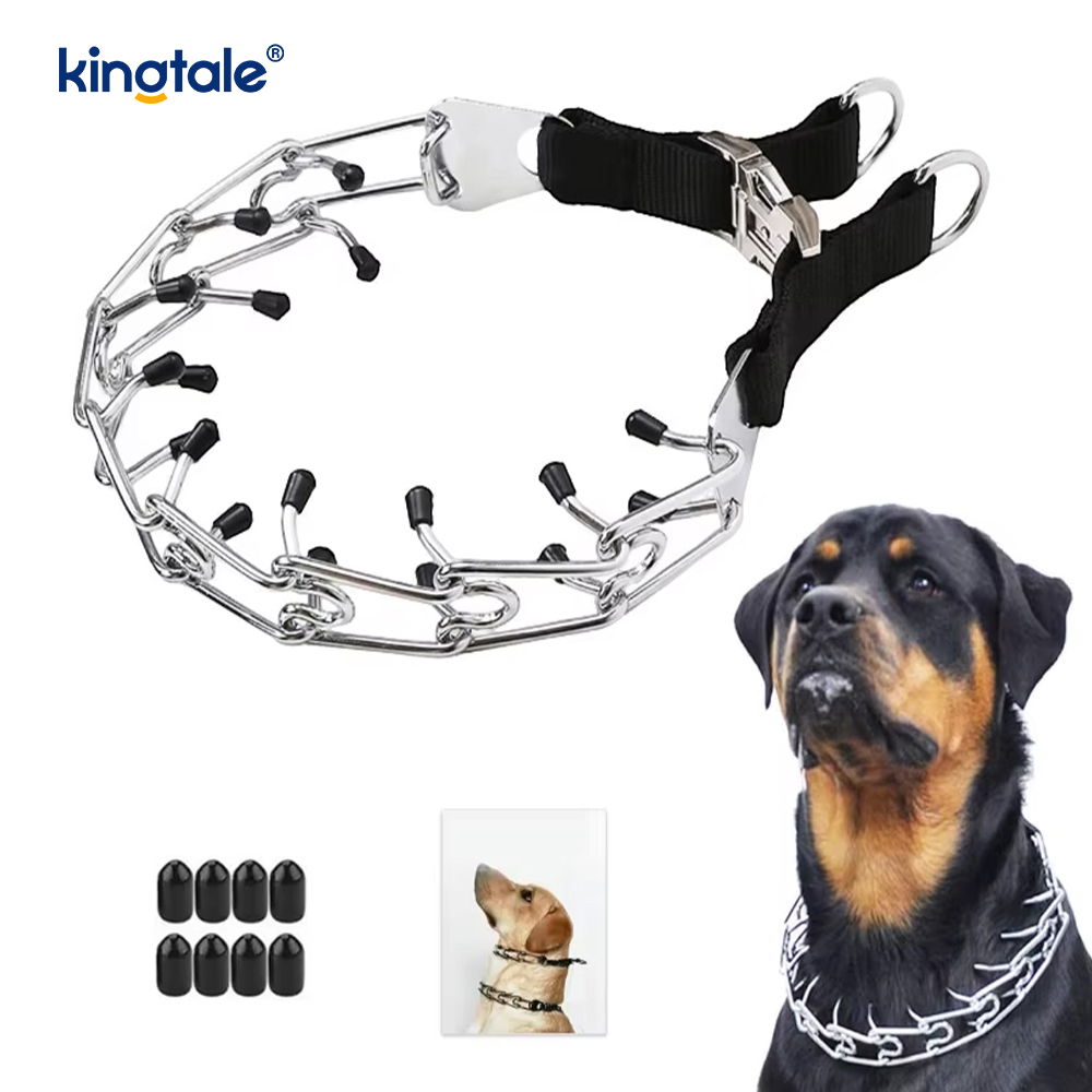 Hundehalsband mit Metallschnalle