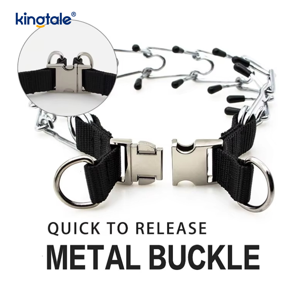 Hundehalsband mit Metallschnalle