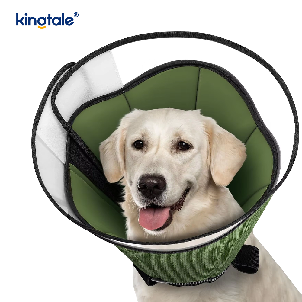 Pet Collars