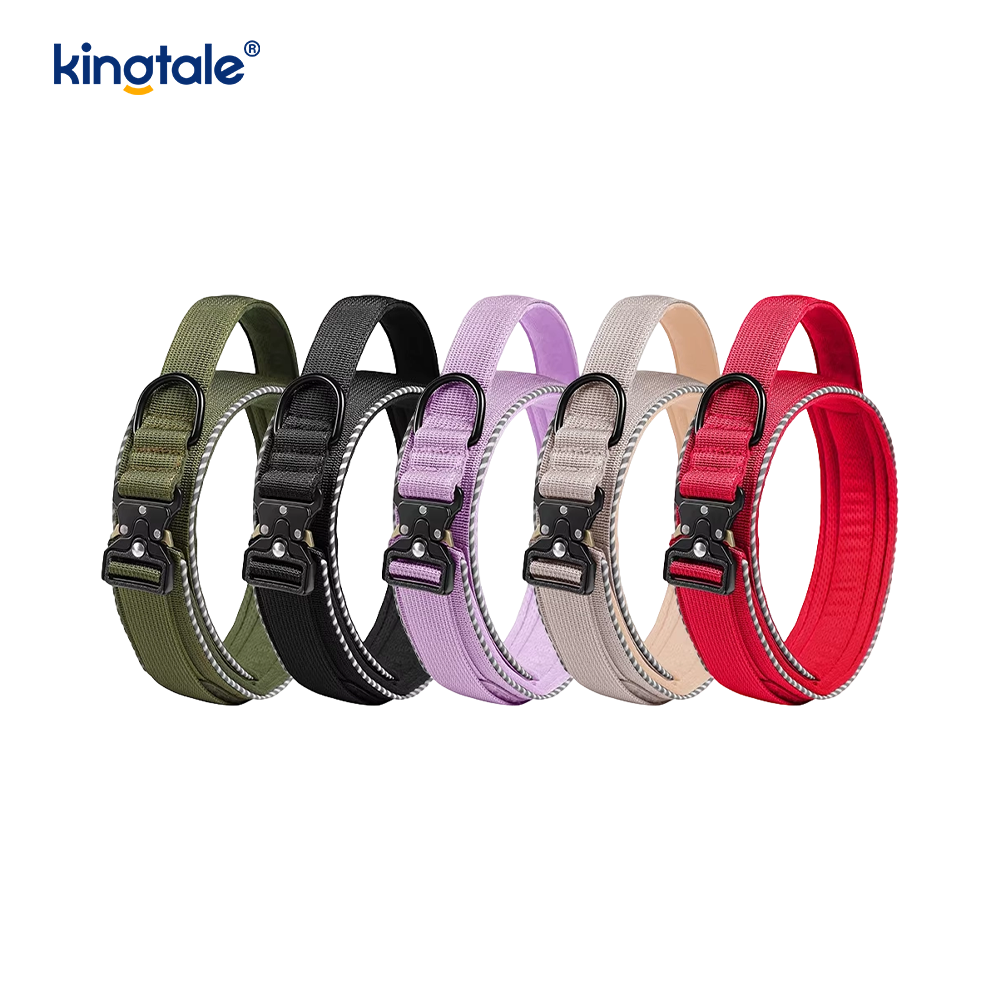Taktisches Halsband ohne Zug