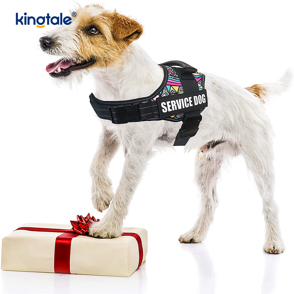Kein Ziehen, reflektierendes Designer-Hundegeschirr, solide Hundeleine aus Nylonseil