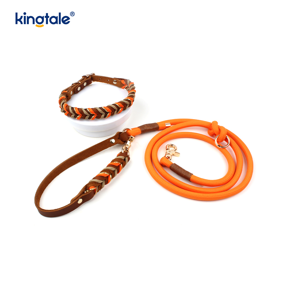 Echtleder-Haustierhalsbänder und -leinen, Hundeseilhalsband und -leine-Set