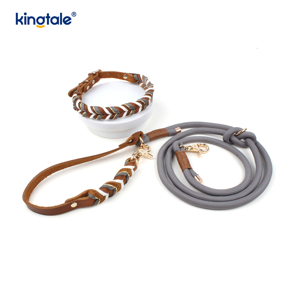 Echtleder-Haustierhalsbänder und -leinen, Hundeseilhalsband und -leine-Set