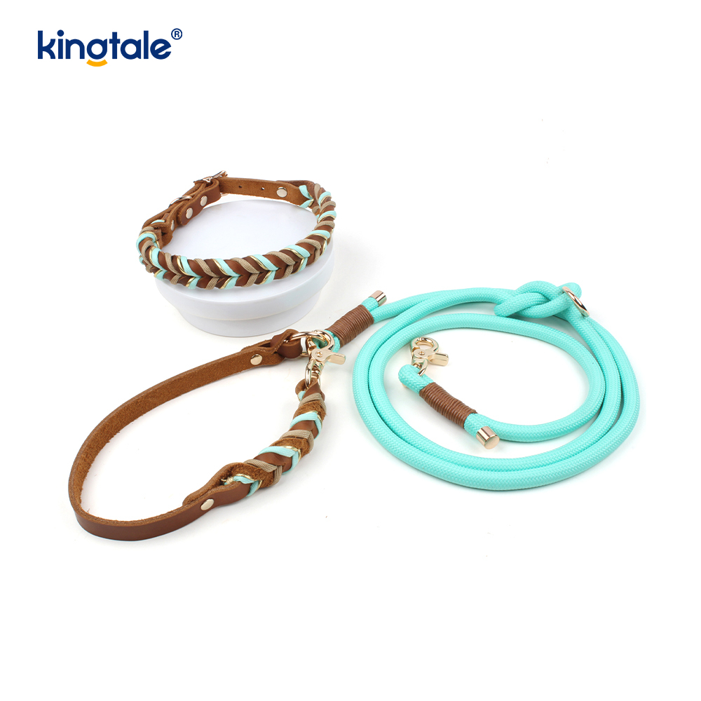 Echtleder-Haustierhalsbänder und -leinen, Hundeseilhalsband und -leine-Set