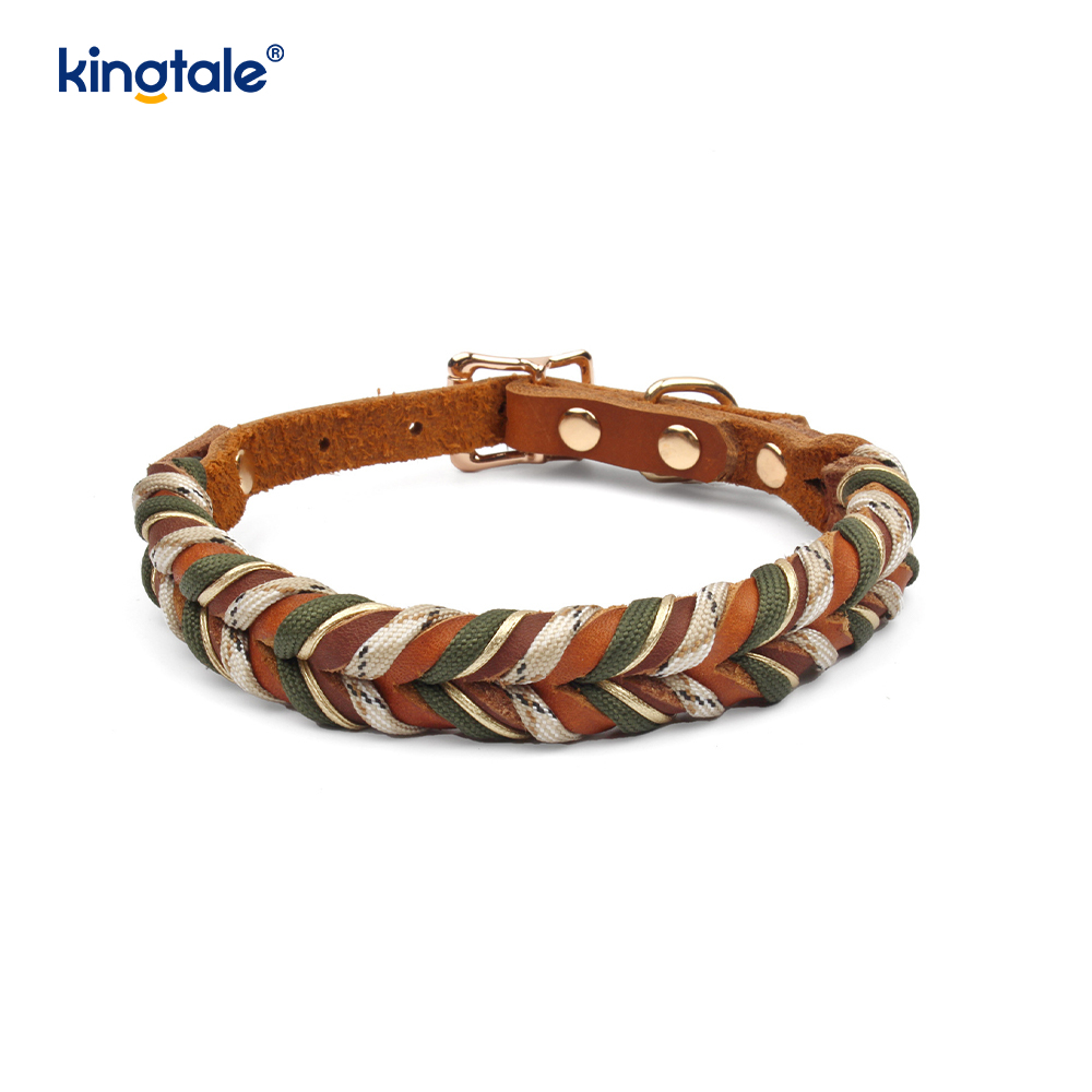 Echtleder-Haustierhalsbänder und -leinen, Hundeseilhalsband und -leine-Set