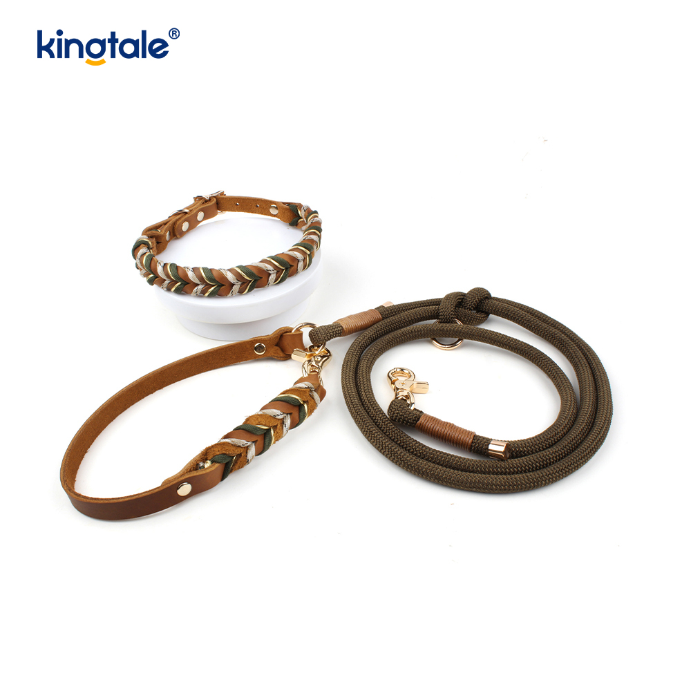 Echtleder-Haustierhalsbänder und -leinen, Hundeseilhalsband und -leine-Set
