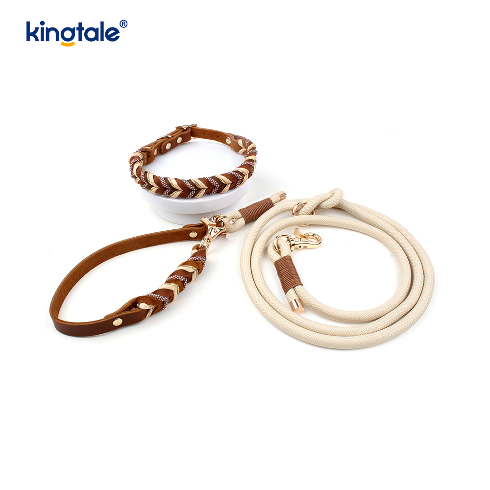 Echtleder-Haustierhalsbänder und -leinen, Hundeseilhalsband und -leine-Set