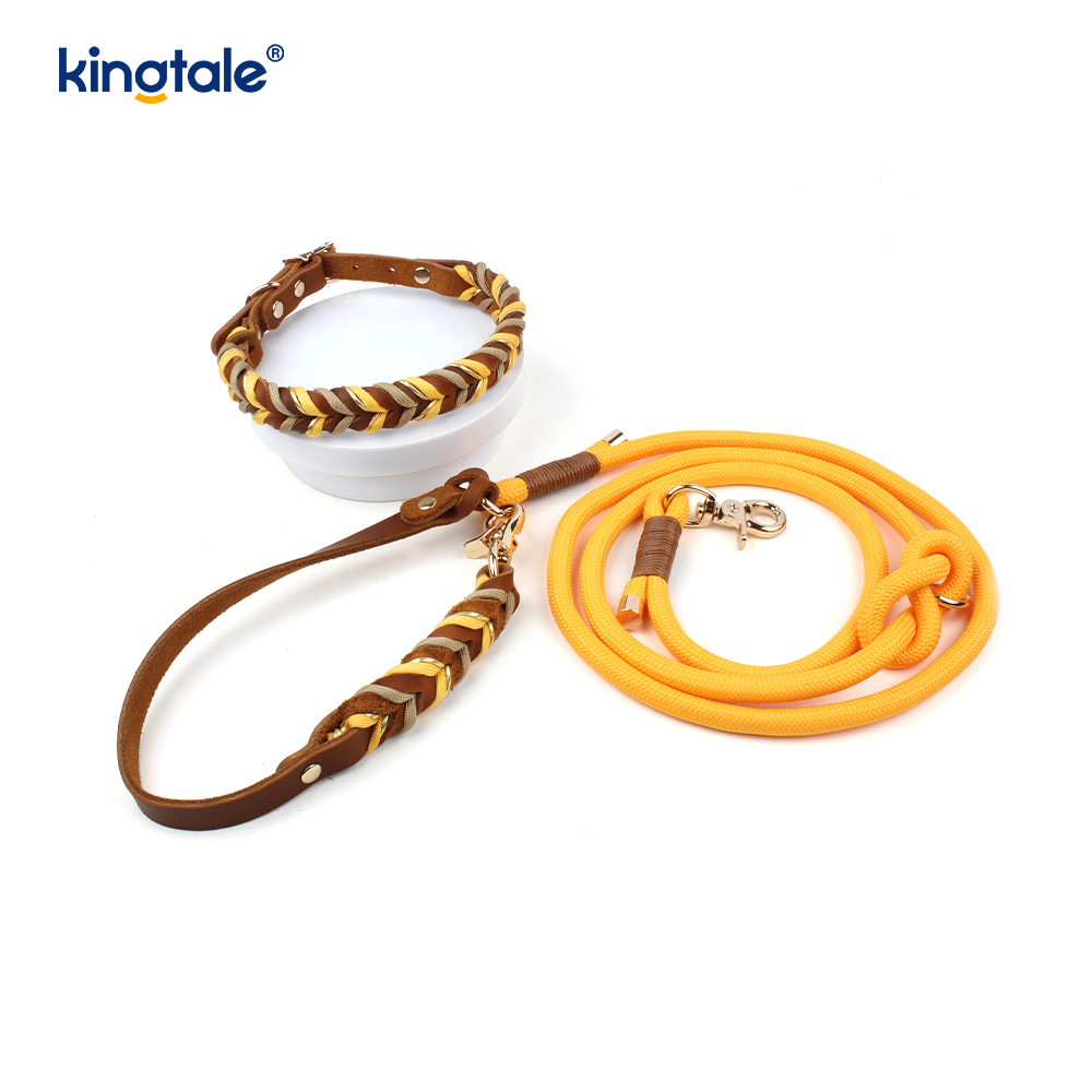 Echtleder-Haustierhalsbänder und -leinen, Hundeseilhalsband und -leine-Set