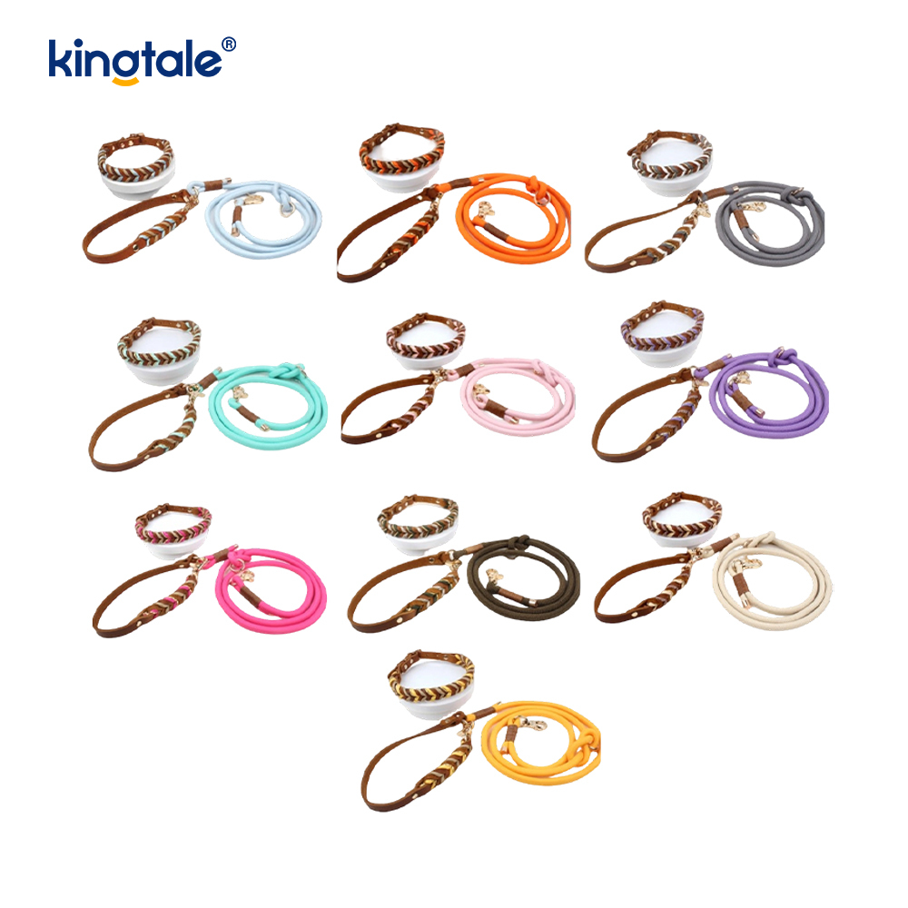 Echtleder-Haustierhalsbänder und -leinen, Hundeseilhalsband und -leine-Set