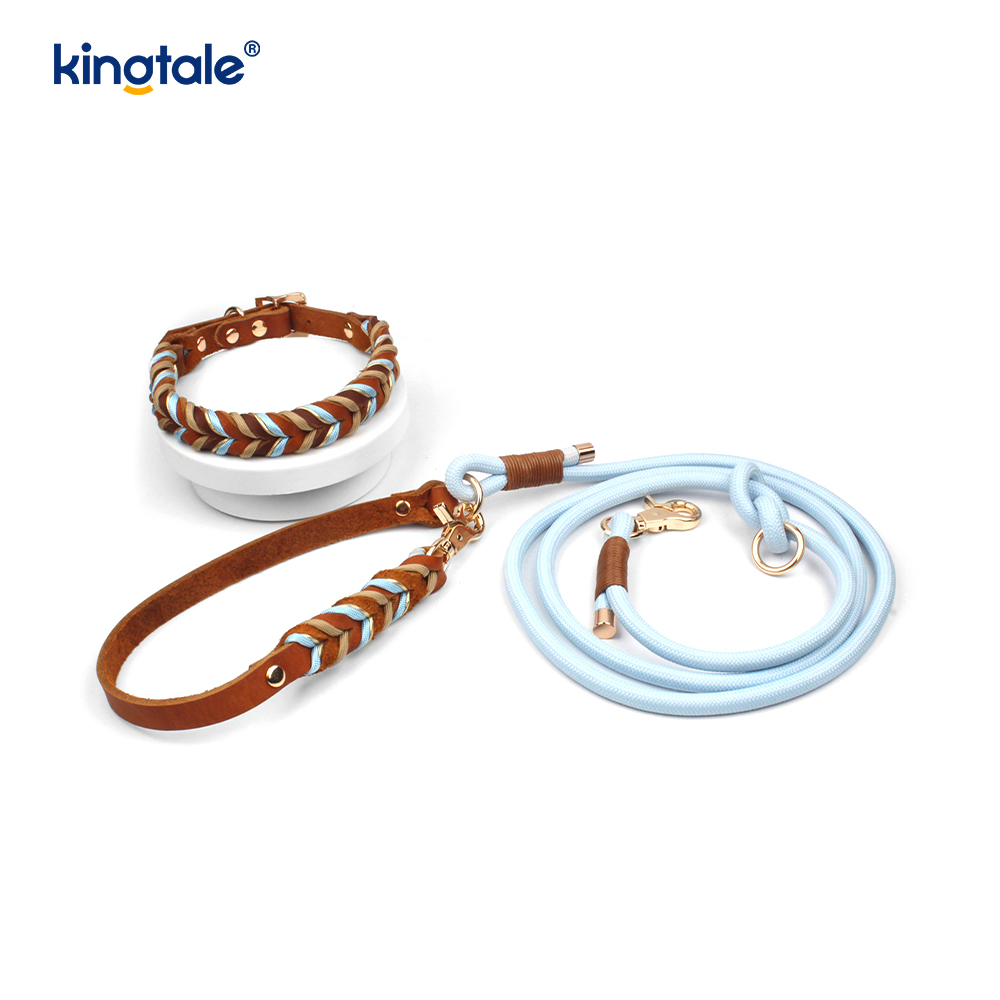 Echtleder-Haustierhalsbänder und -leinen, Hundeseilhalsband und -leine-Set
