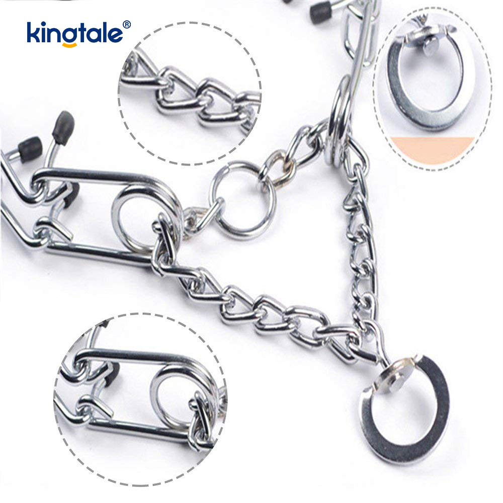 Pet Pinch Choke Collars Hundehalsband aus Karbonstahl mit Metallzinken