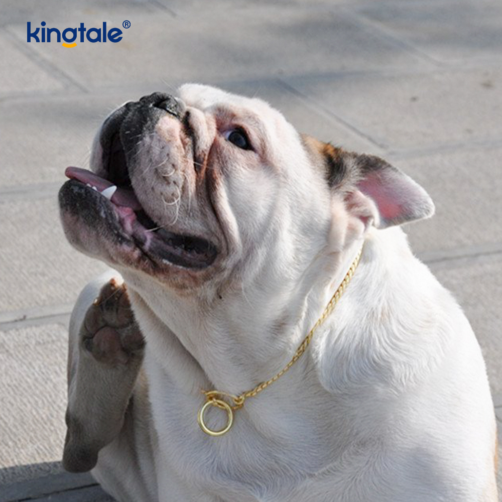 Schlangen-Hundekettenhalsband aus reinem Kupfermetall für kleine und mittelgroße Hunde