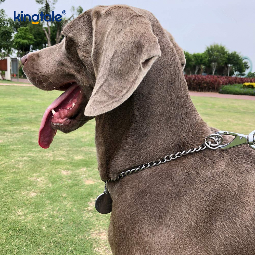 Metall-Trainingshalsband für Hunde, Slip-P-Kette, schwere Kette für Hunde