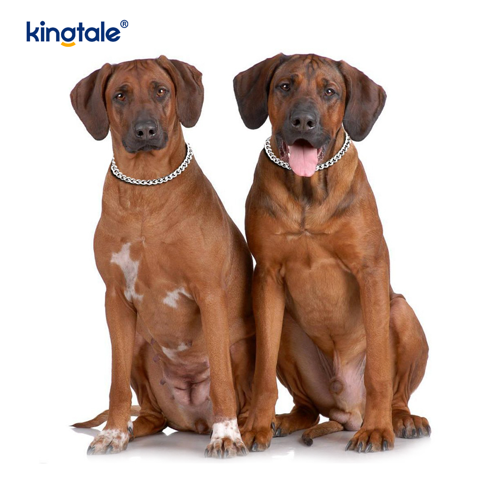 Metall-Trainingshalsband für Hunde, Slip-P-Kette, schwere Kette für Hunde