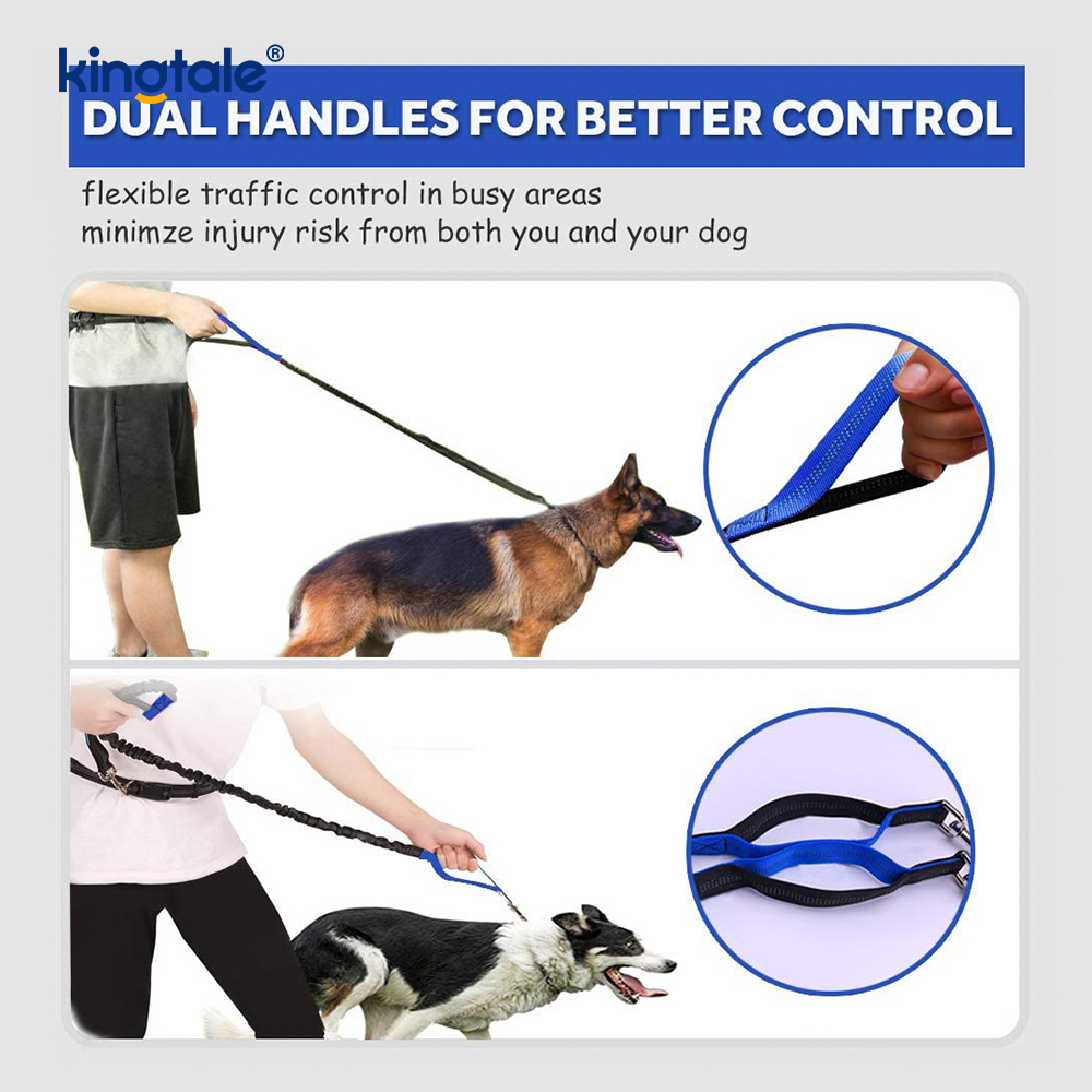 Reflektierende, elastische Doppelleine für Haustiere mit Reißverschlusstasche