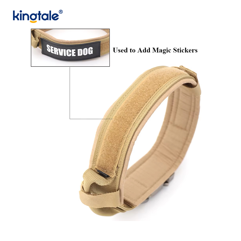 Metallschnallengürtel, Hundehalsband, strapazierfähig, Hundehalsband, robust