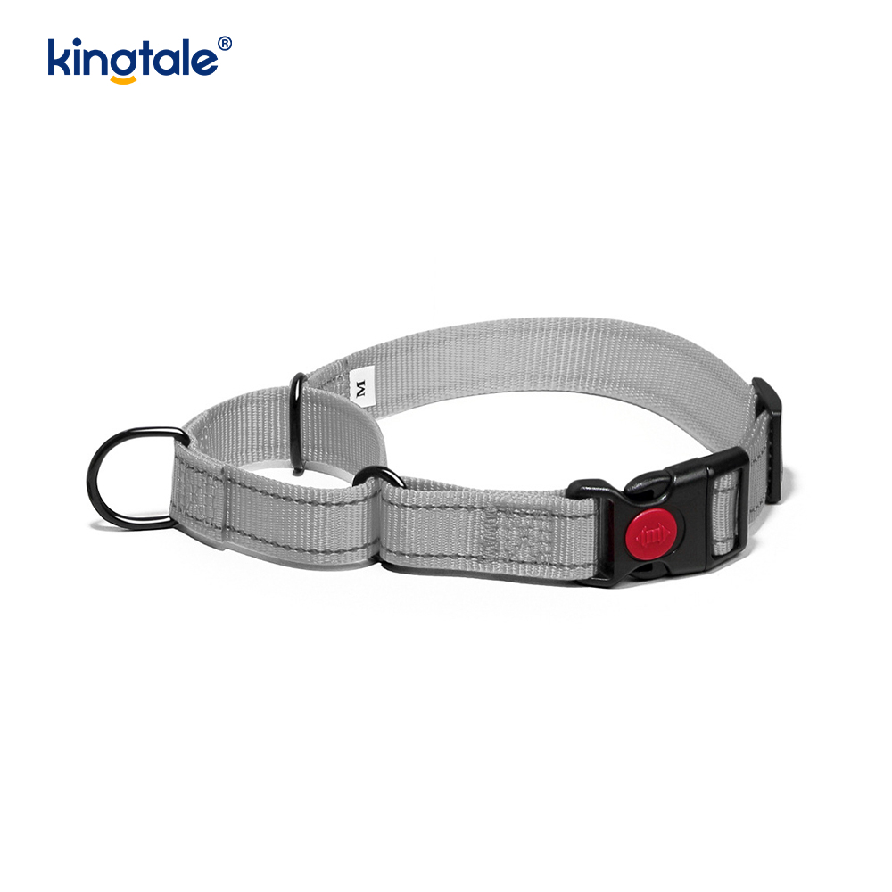 Kein Ziehen, reflektierendes, verstellbares Nylon-Martingale-Hundehalsband für kleine, mittelgroße und große Hunde