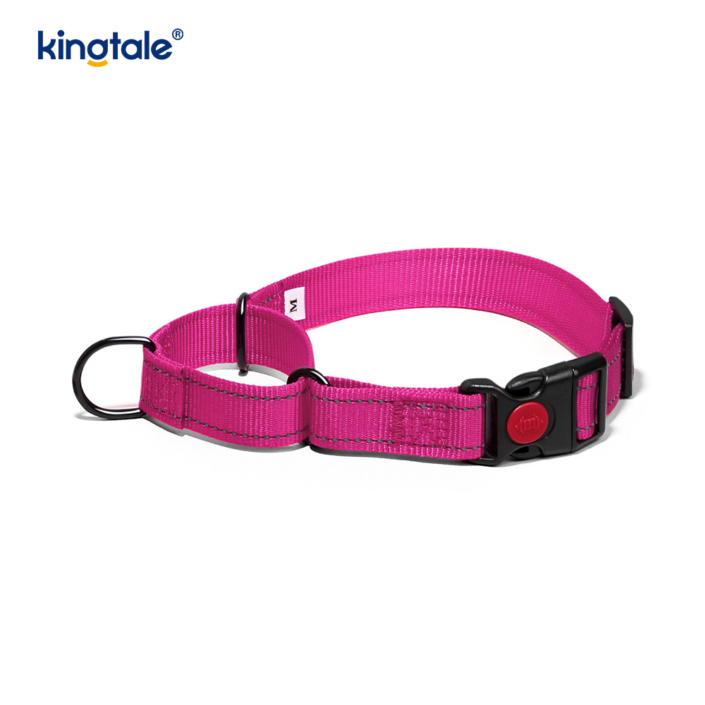 Kein Ziehen, reflektierendes, verstellbares Nylon-Martingale-Hundehalsband für kleine, mittelgroße und große Hunde
