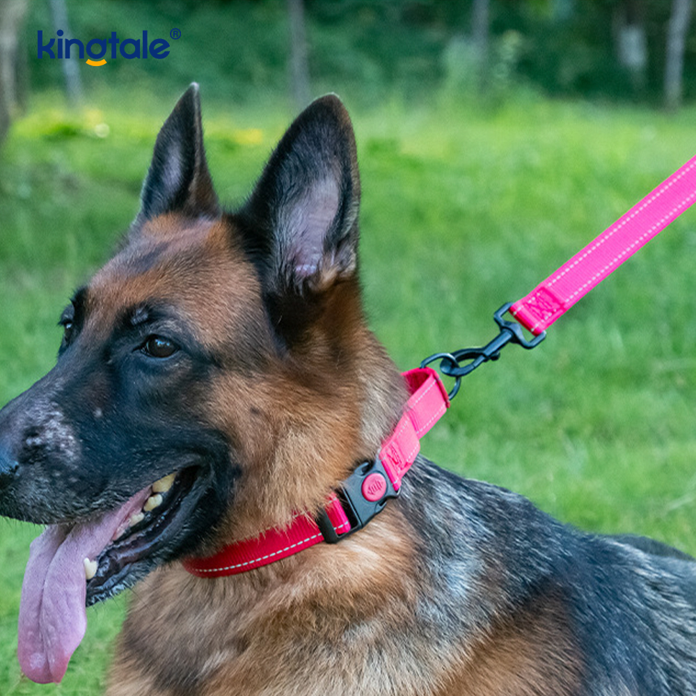 Kein Ziehen, reflektierendes, verstellbares Nylon-Martingale-Hundehalsband für kleine, mittelgroße und große Hunde