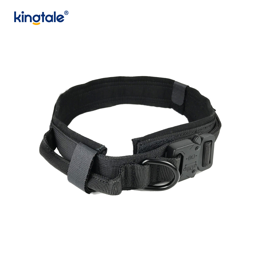 Metallschnallengürtel, Hundehalsband, strapazierfähig, Hundehalsband, robust