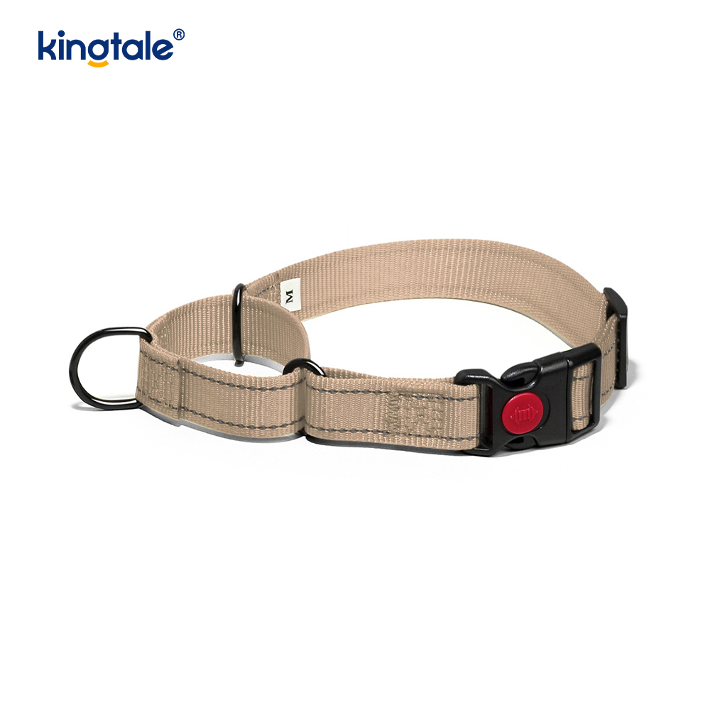 Kein Ziehen, reflektierendes, verstellbares Nylon-Martingale-Hundehalsband für kleine, mittelgroße und große Hunde