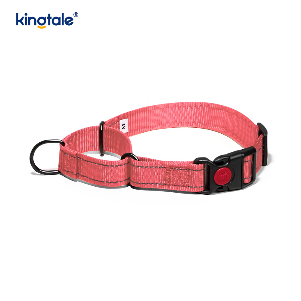 Kein Ziehen, reflektierendes, verstellbares Nylon-Martingale-Hundehalsband für kleine, mittelgroße und große Hunde