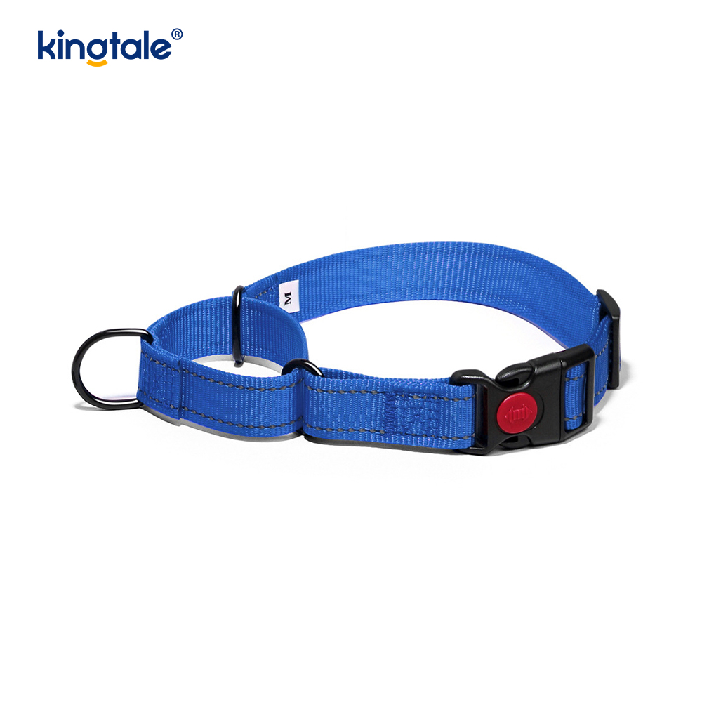 Kein Ziehen, reflektierendes, verstellbares Nylon-Martingale-Hundehalsband für kleine, mittelgroße und große Hunde