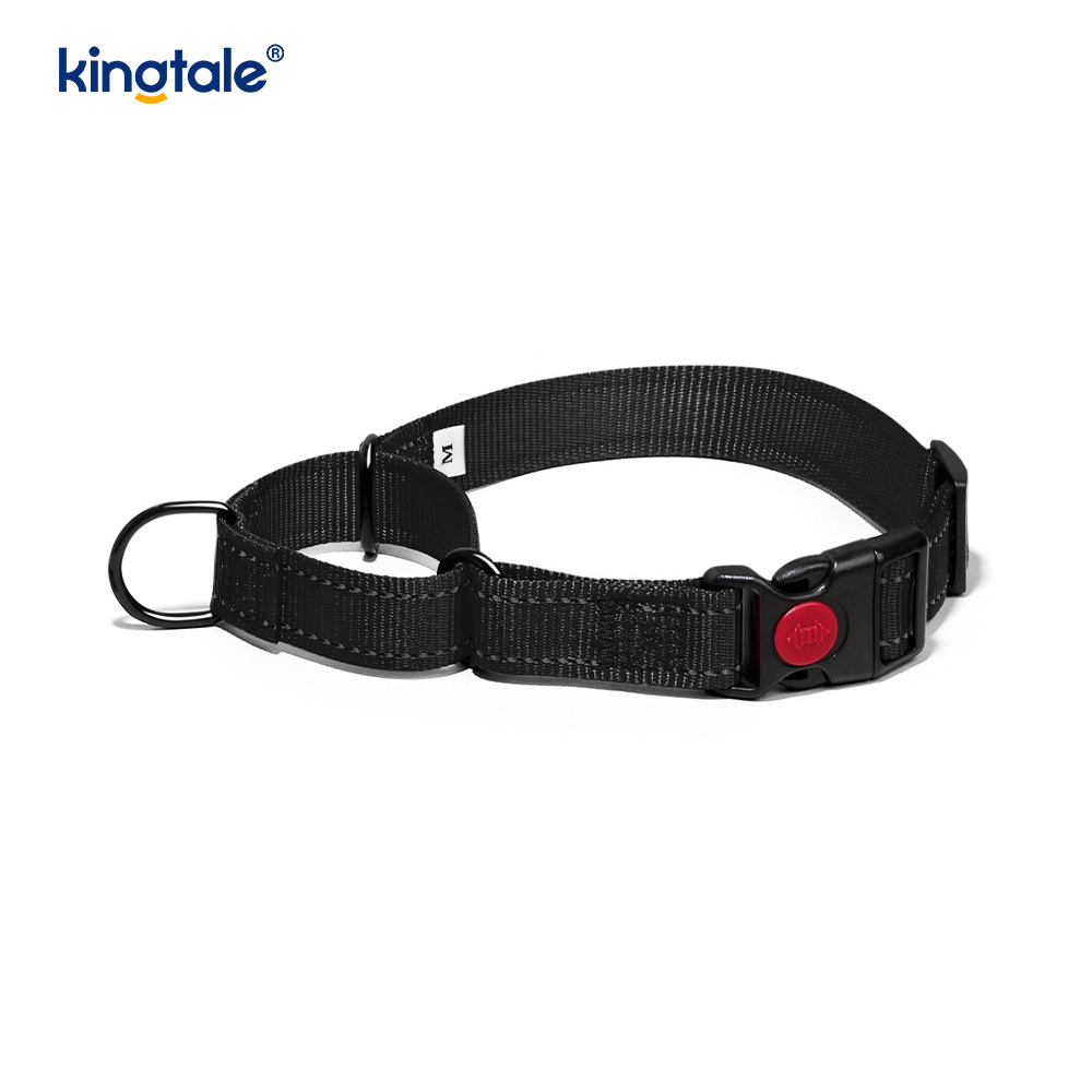 Kein Ziehen, reflektierendes, verstellbares Nylon-Martingale-Hundehalsband für kleine, mittelgroße und große Hunde
