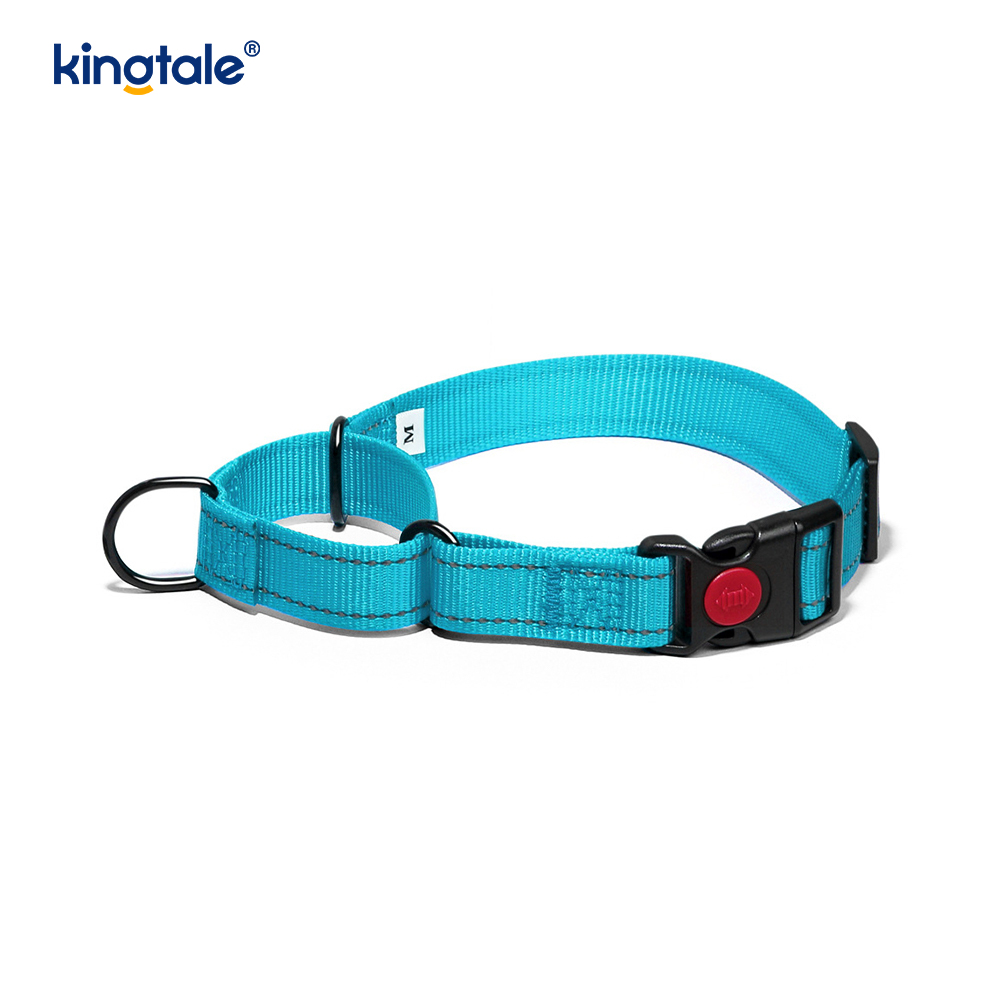 Kein Ziehen, reflektierendes, verstellbares Nylon-Martingale-Hundehalsband für kleine, mittelgroße und große Hunde