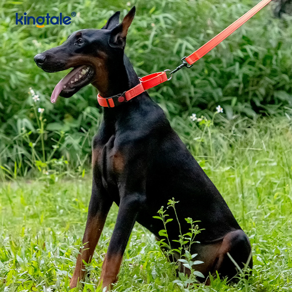 Kein Ziehen, reflektierendes, verstellbares Nylon-Martingale-Hundehalsband für kleine, mittelgroße und große Hunde