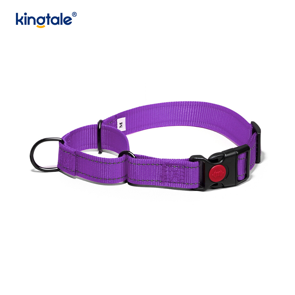 Kein Ziehen, reflektierendes, verstellbares Nylon-Martingale-Hundehalsband für kleine, mittelgroße und große Hunde