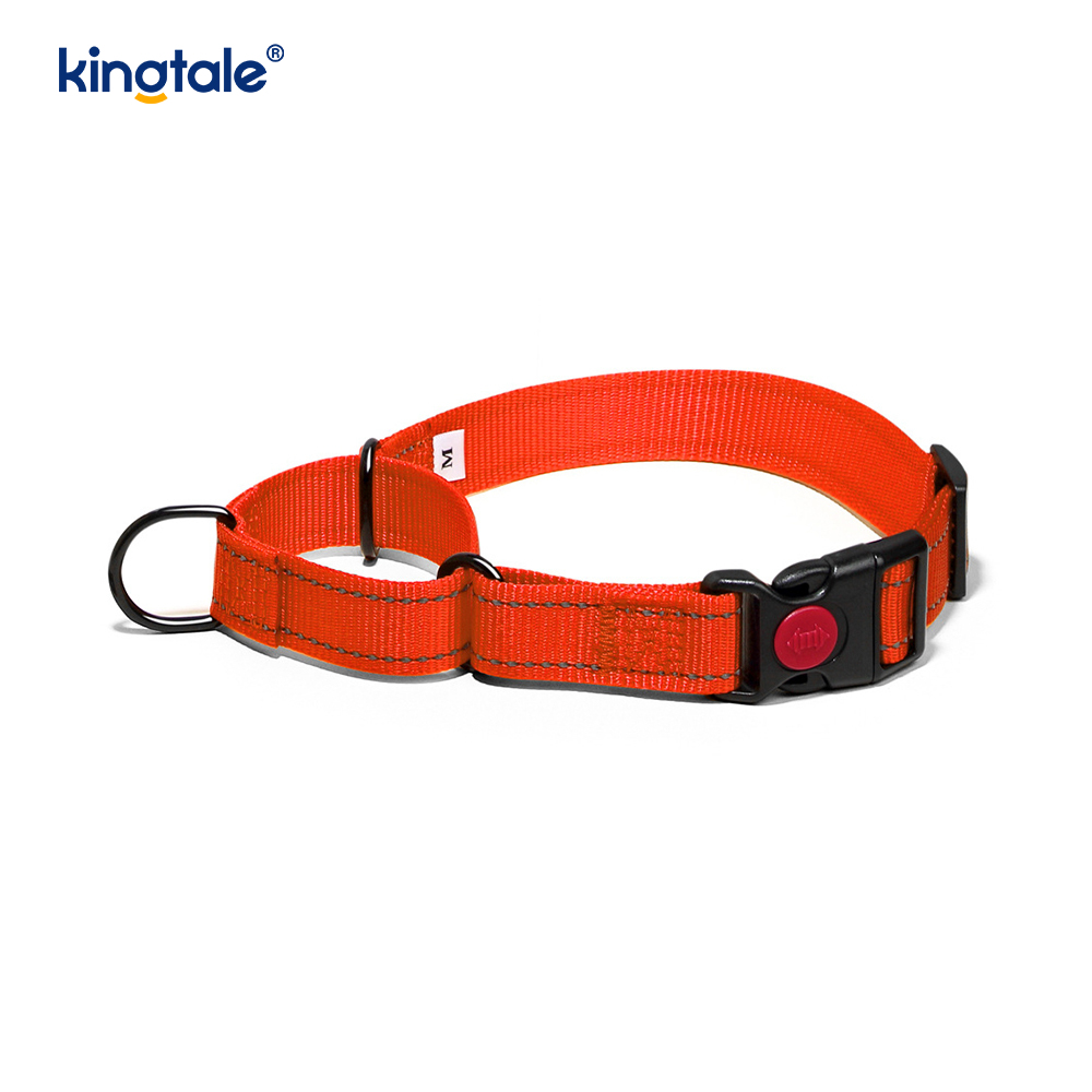 Kein Ziehen, reflektierendes, verstellbares Nylon-Martingale-Hundehalsband für kleine, mittelgroße und große Hunde