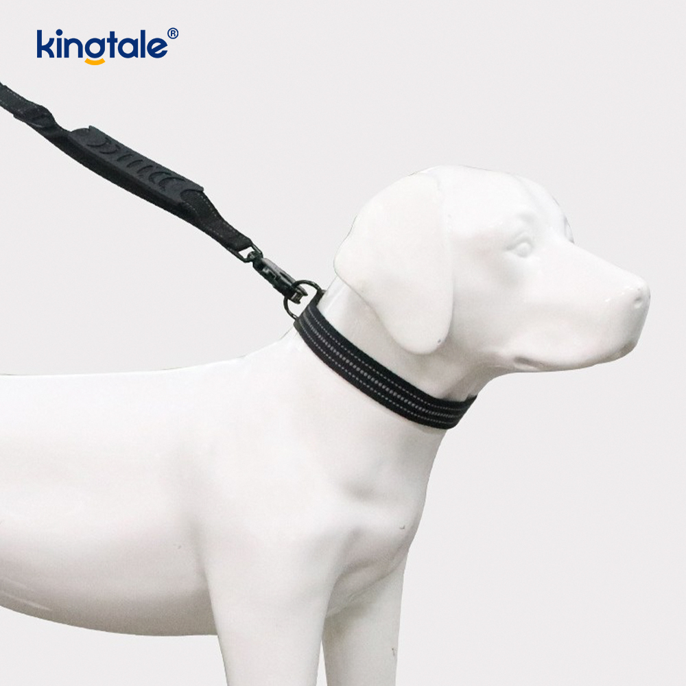 Reflektierendes, robustes taktisches Hundehalsband, kein Ziehen, Bungee-Leine