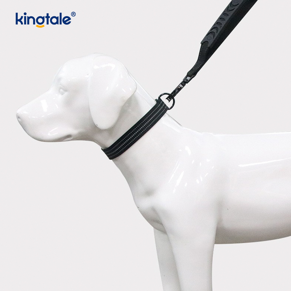 Reflektierendes, robustes taktisches Hundehalsband, kein Ziehen, Bungee-Leine