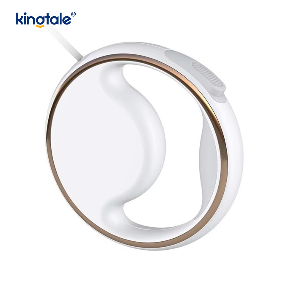 Einfache moderne LED-Beleuchtung, automatisch einziehbare Nylon-Hundehalsbandleine