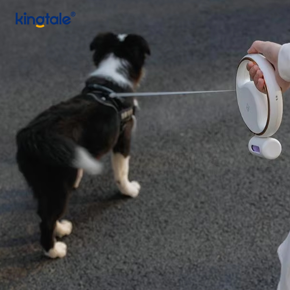 Einfache moderne LED-Beleuchtung, automatisch einziehbare Nylon-Hundehalsbandleine
