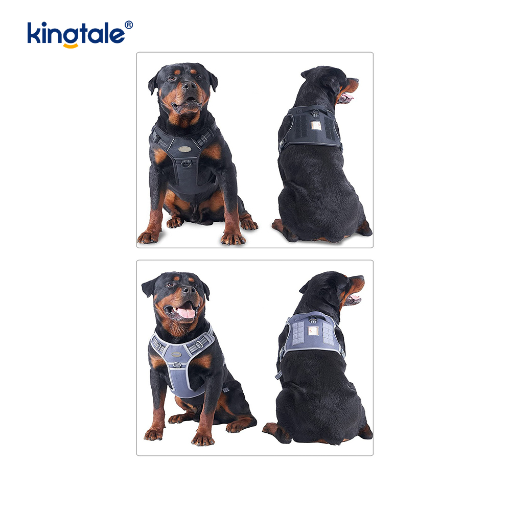 Solides, zugfreies, robustes Nylon-Hundegurt-Weste-Trainingsgeschirr für die Brust