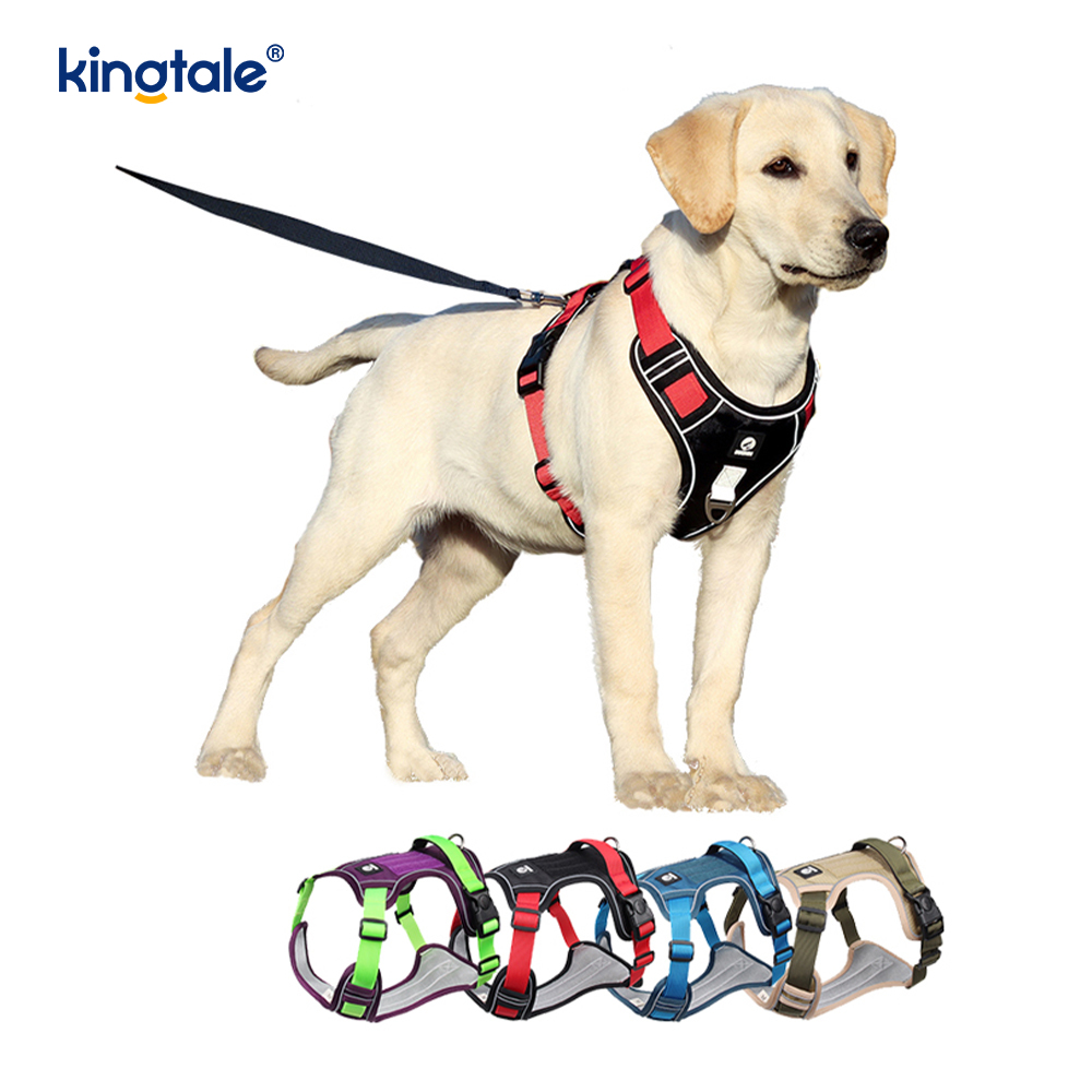 Reflektierendes, verstellbares, atmungsaktives Sport-Hundegeschirr aus Nylon mit Nieten