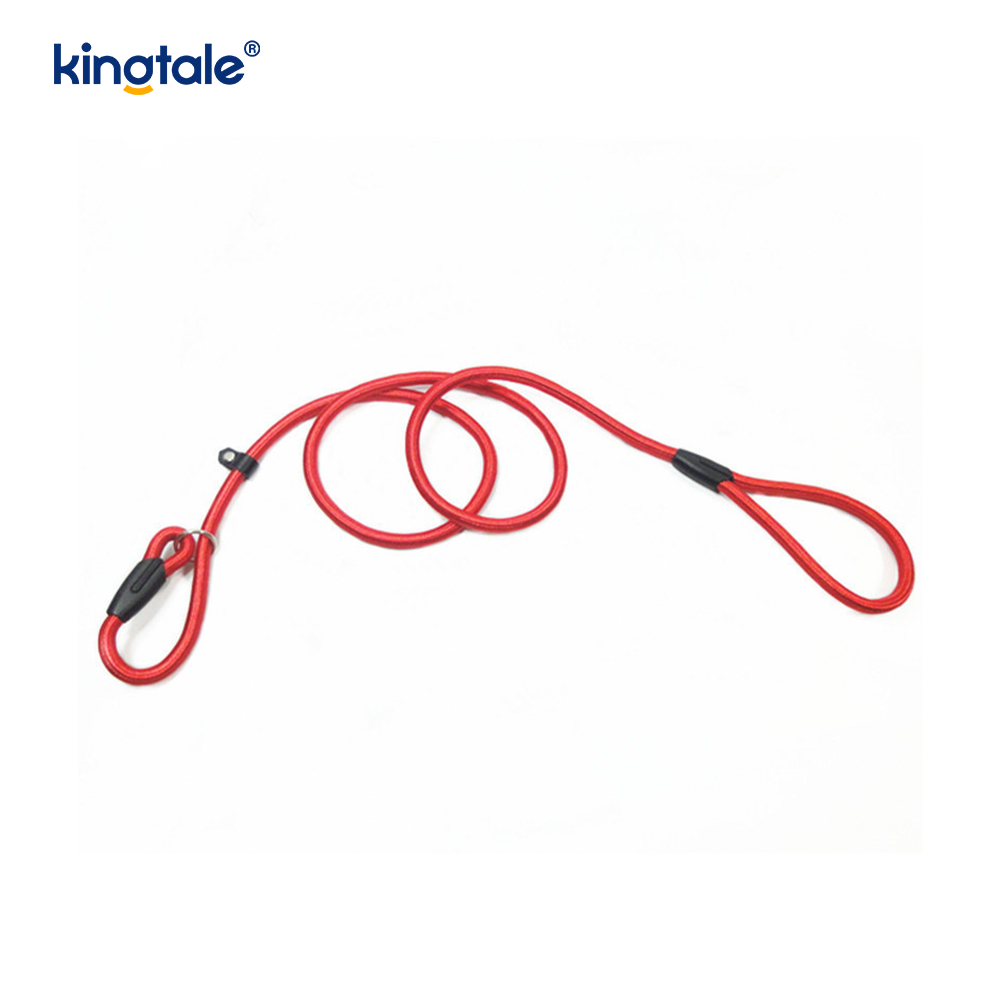 Slip Lead Hundeleine Starke Nylonseilleine Hundetrainingsleine für Haustiere