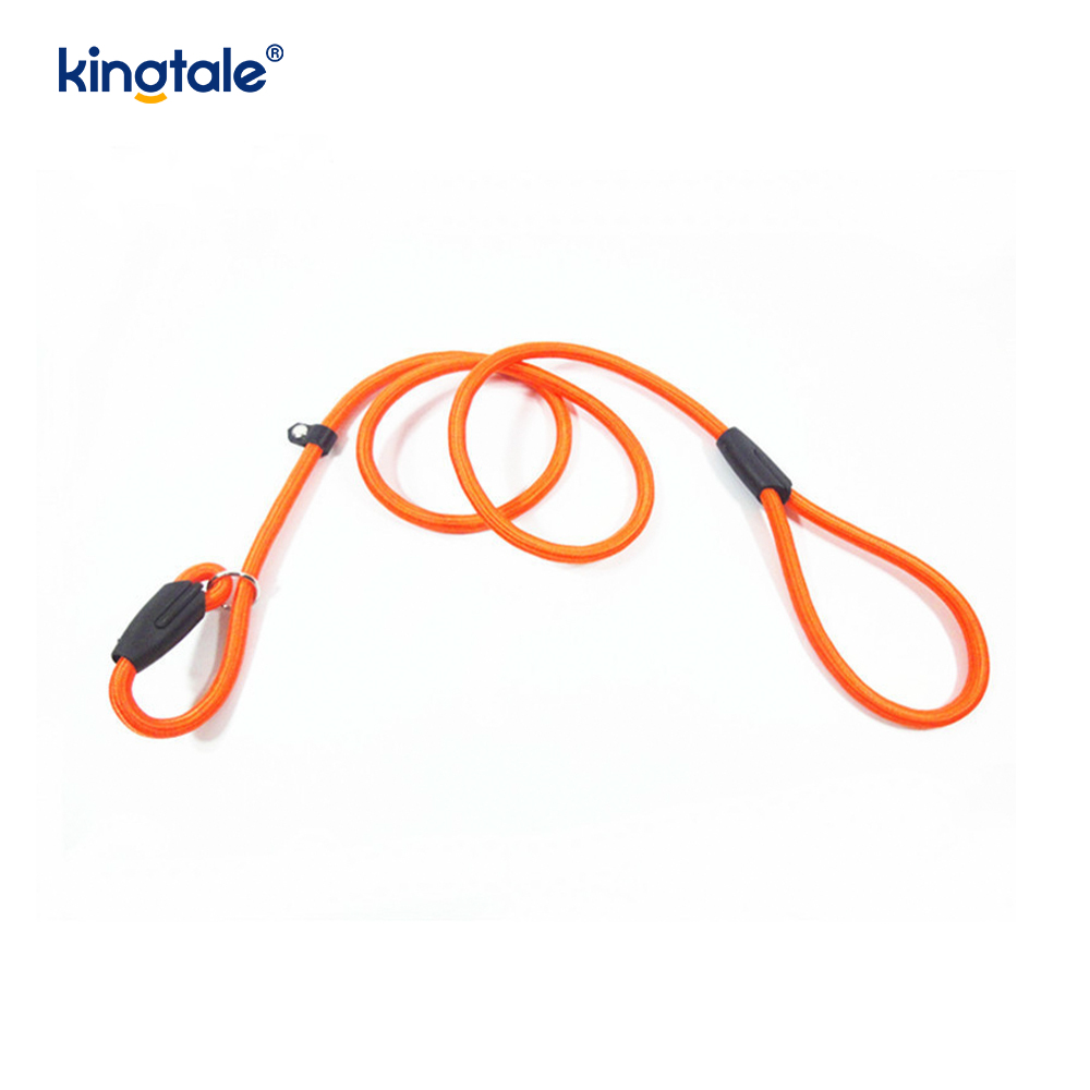 Slip Lead Hundeleine Starke Nylonseilleine Hundetrainingsleine für Haustiere