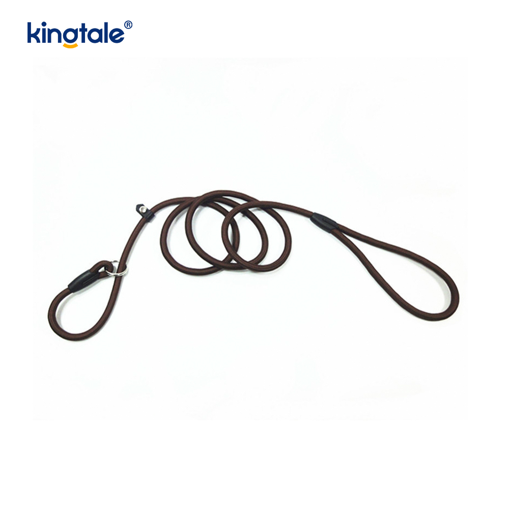 Slip Lead Hundeleine Starke Nylonseilleine Hundetrainingsleine für Haustiere