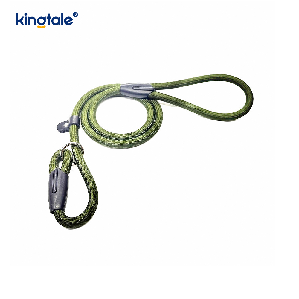 Slip Lead Hundeleine Starke Nylonseilleine Hundetrainingsleine für Haustiere