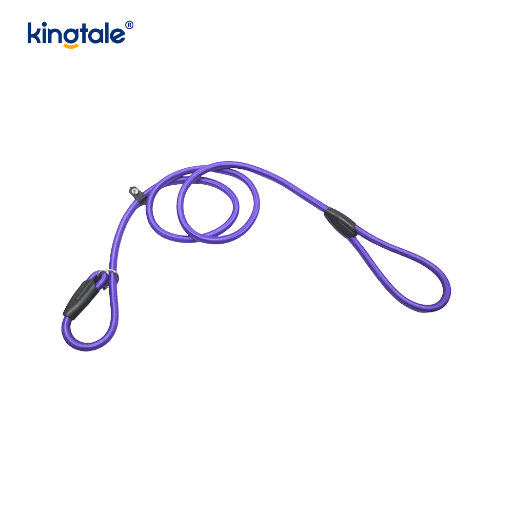 Slip Lead Hundeleine Starke Nylonseilleine Hundetrainingsleine für Haustiere