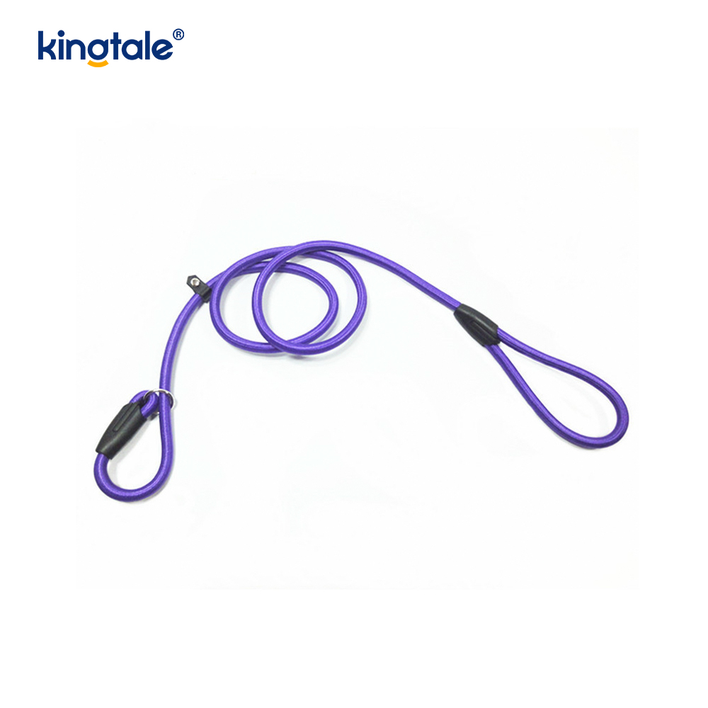 Slip Lead Hundeleine Starke Nylonseilleine Hundetrainingsleine für Haustiere