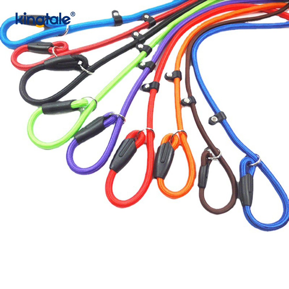 Slip Lead Hundeleine Starke Nylonseilleine Hundetrainingsleine für Haustiere